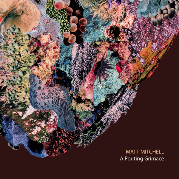A Pouting Grimace (feat. Kim Cass, Kate Gentile, Ches Smith, Dan Weiss, Patricia Brennan, Katie Andrews, Anna Webber, Jon Irabagon, Ben Kono, Sara Schoenbeck, Scott Robinson & Tyshawn Sorey)