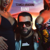 Tzanca Uraganu & Manele Mentolate - Banii artwork