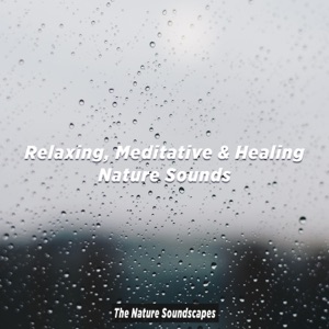 Relaxing, Meditative & Healing Nature Sounds