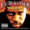 Bush - David Banner lyrics