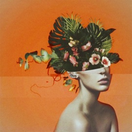 Groove Along / Alcohol Senpu