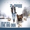 Amazing (feat. Kia Shine) - Z-Dogg lyrics