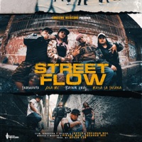 Street Flow (feat. Basnik Uval, Ana Mc, Indigente Mc & Maya La Insana) - Single - Consume Mexicano