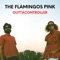 Right Wing Chicken - The Flamingos Pink lyrics