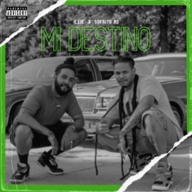 Mi Destino (feat. Sofrito RD) Illie