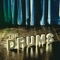 Let's Go Surfing - The Drums lyrics
