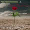 The Boy With the Broken Heart - Mr Metrónomo lyrics