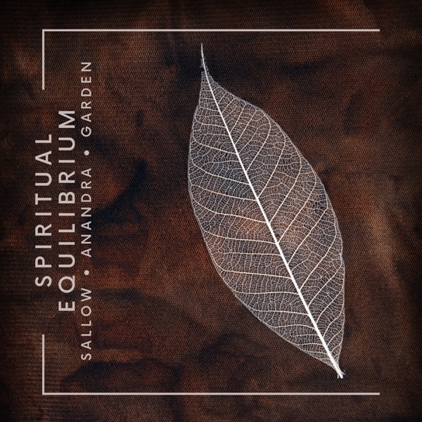 Spiritual Equilibrium: Grounding Meditation