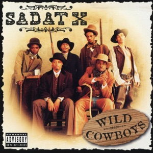 Wild Cowboys