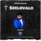 Seeluvalo Telugu Christian Song artwork