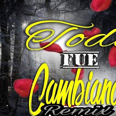 Todo Fue Cambiando (feat. Mc A 13, Cie Campos & Rodz) [Remix] [Remix] - Single
