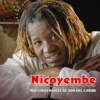 Nicoyembe - El Guayabo de la Ye
