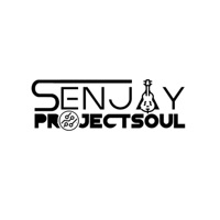 Frustrations (feat. Mdu aka TRP ) - Single - Senjay