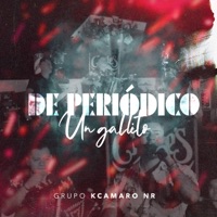 De Periódico un Gallito - Single - Grupo Kcamaro NR