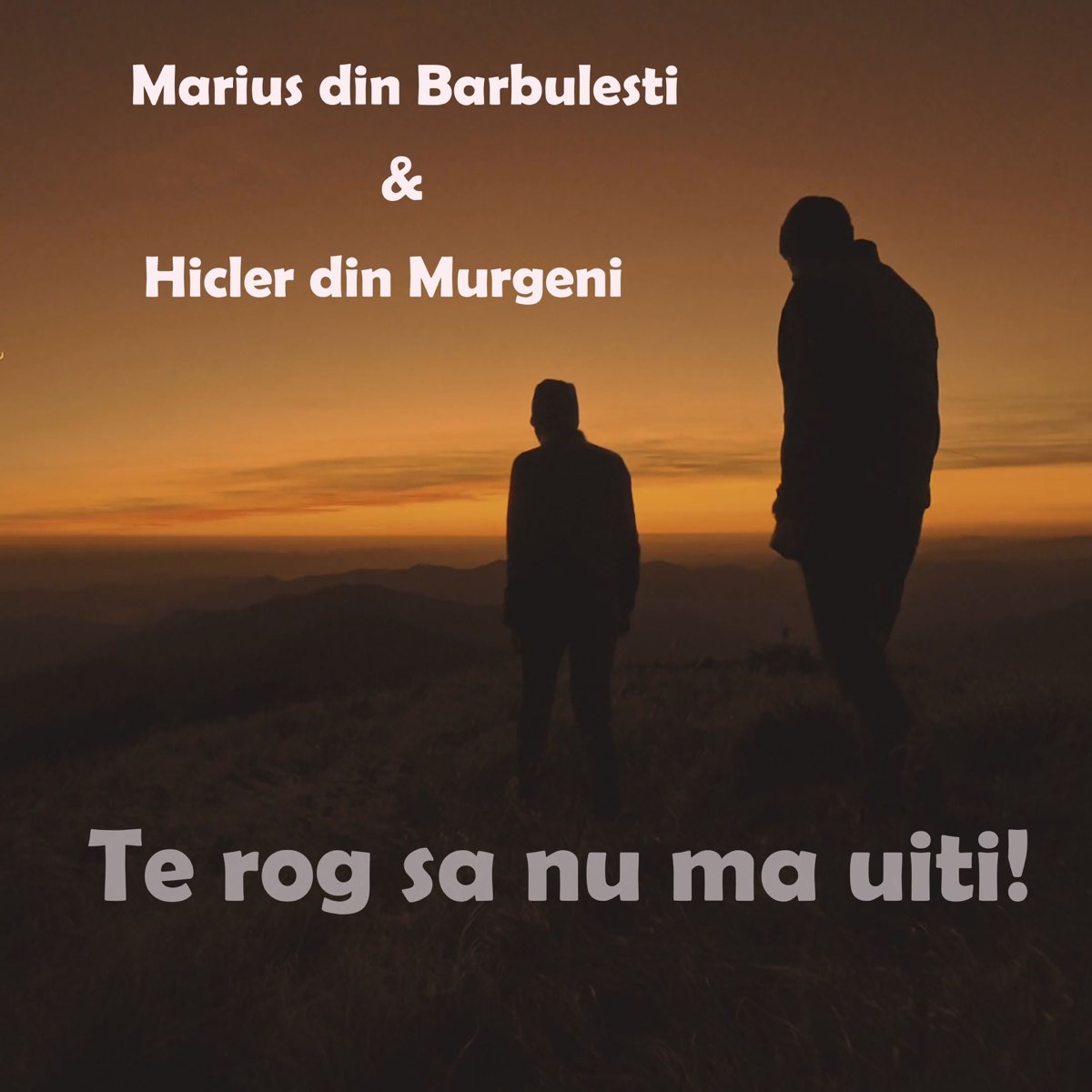Te rog sa nu ma uiti! - Single by Marius din Barbulesti & Hicler Din  Murgeni on Apple Music