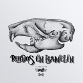 Ruidos en Hamelin artwork