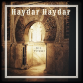 Haydar Haydar (Akustik) song art