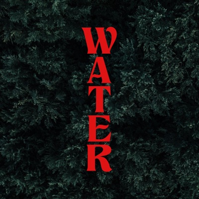 Water (feat. Betty Michaels, BrandonLee Cierley & Safeplace) - Single
