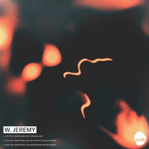 Life (feat. Mister Wallace) - Single