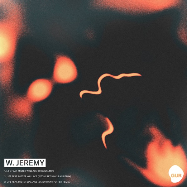 Life (feat. Mister Wallace) - Single
