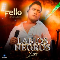 Labios Negros (Live) - Single - Fello Zabaleta