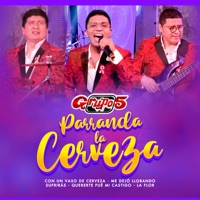 Parranda la Cerveza: Con un Vaso de Cerveza / Me Dejó Llorando / Quererte Fué Mi Castigo / La Flor / Que Mala - Single - Grupo 5