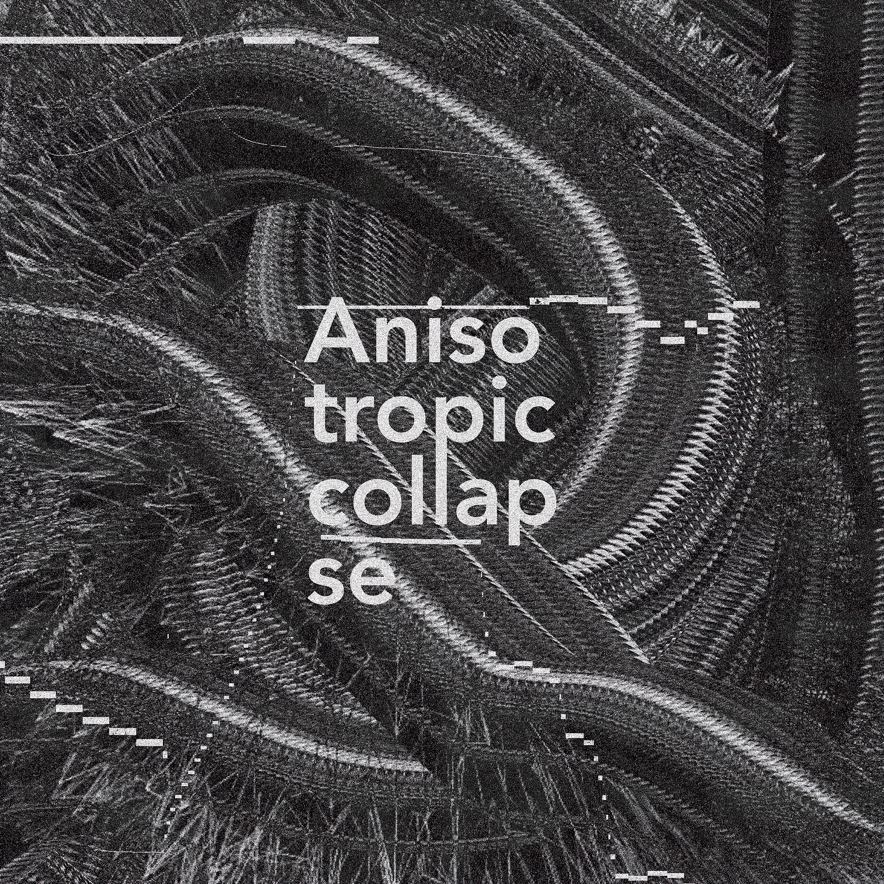 Anisotropic Collapse