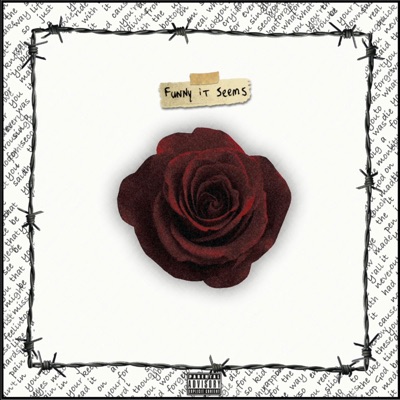 Funny It Seems (Universal Music Edition)