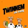 Stream & download TWINNEM