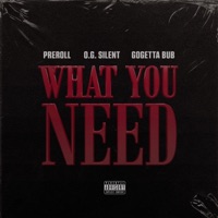 What You Need - Single - O.G. Silent, GoGetta Bub & PreRoll