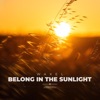 Belong In the Sunlight - Single