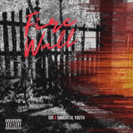 Fire Wall IGR & Immortal Youth