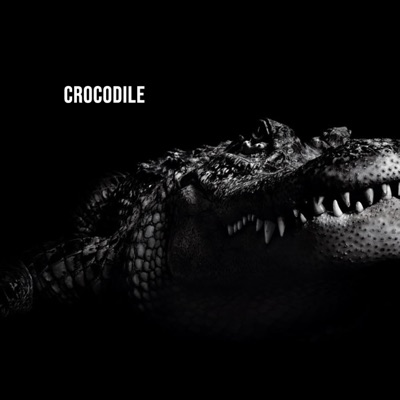 Crocodile - Single