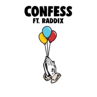 Confess (feat. Raddix) - Single - Birthdayy Partyy