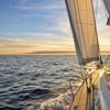 Adjust the Sails