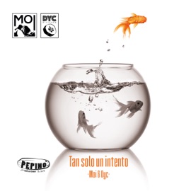 Tan Solo un Intento DYC & MOI