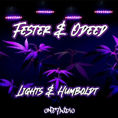 Lights & Humboldt - Single