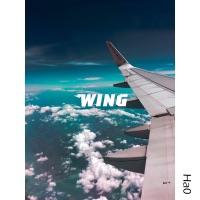Wing - Single - Ha0