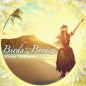 Kimo Williams - Birds in the Breeze