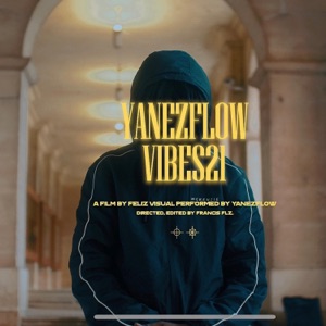 DE NOVO (VIBE21)