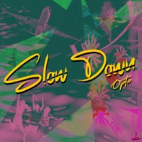 Slow Down - Single - Opto Music