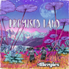 Promised Land - The Allergies