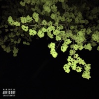 Nevermind - Single - teddybear & Hudson Alexander