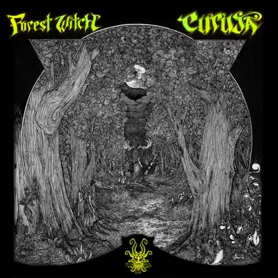 Listen to Forest Witch - Single by Curuja