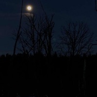 CallMeSensei - Single - Lhenz