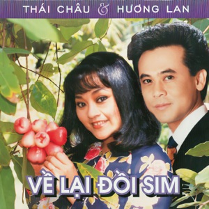 Về Lại Đồi Sim