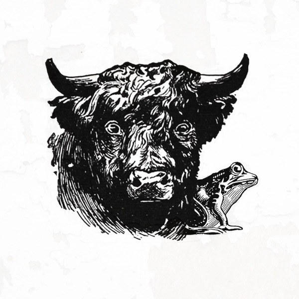 The Ox and the Toad