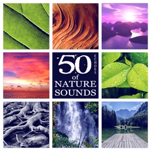 50 Echoes of Nature Sounds - The Best Relaxing New Age Music in the Universe for Contemplations & Reflections