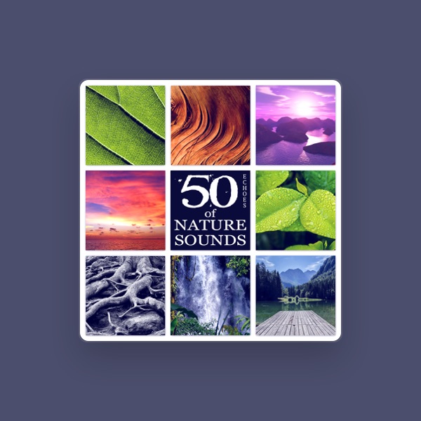 Affirmations Music Center's avatar