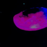 Sphera - SouthExst